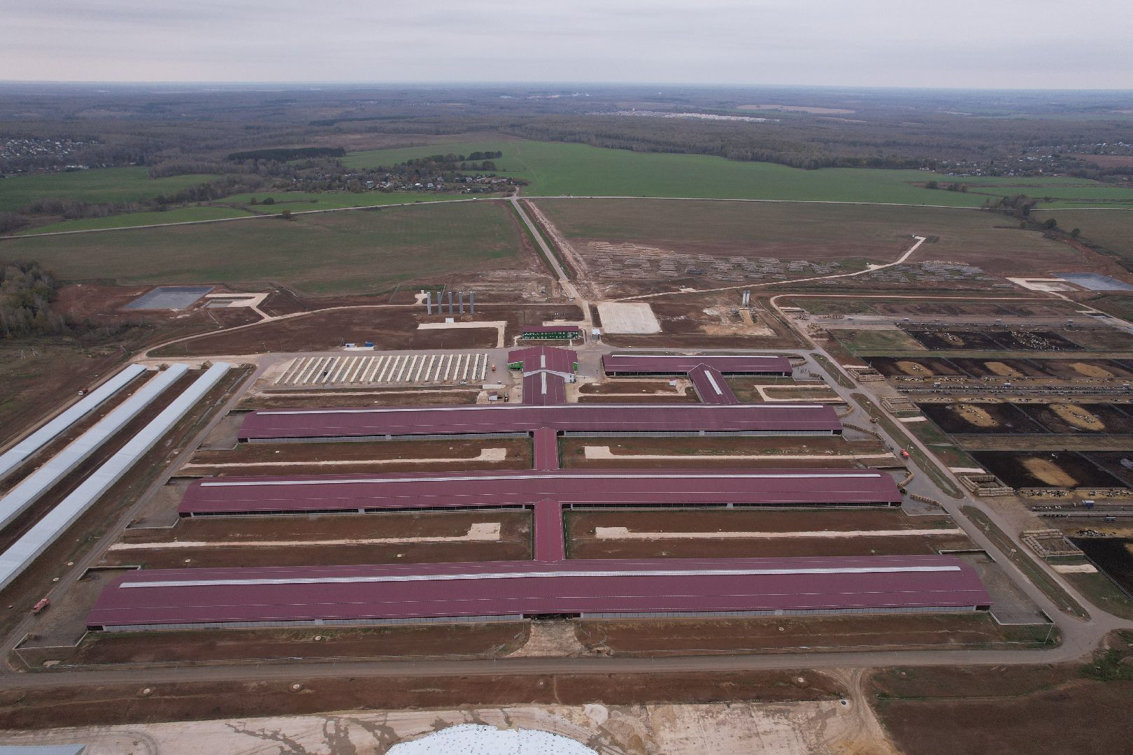 ступино, ферма, коровы,видео с коптера,