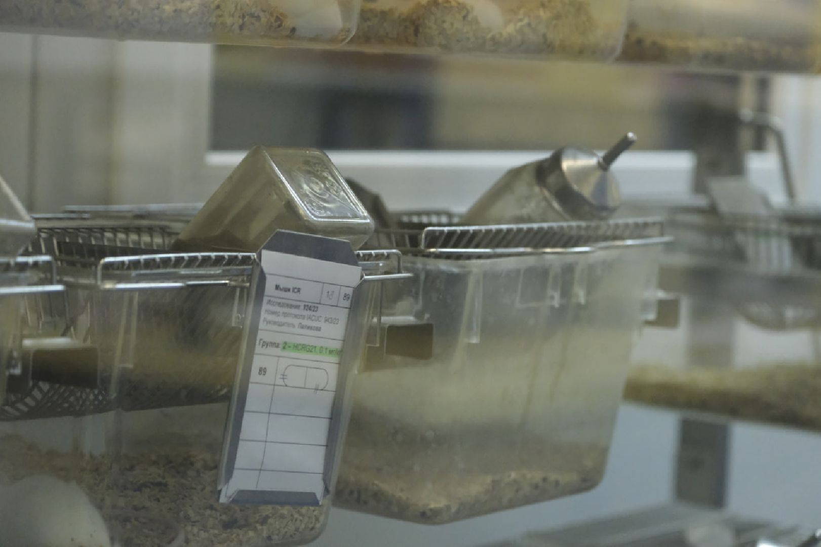 пущино, наука, медицина,