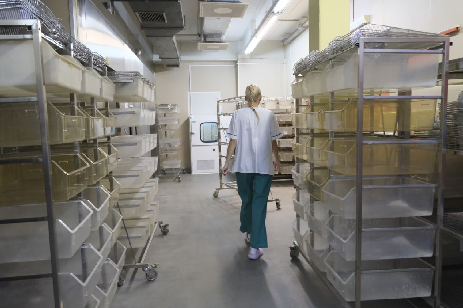 пущино, наука, медицина,