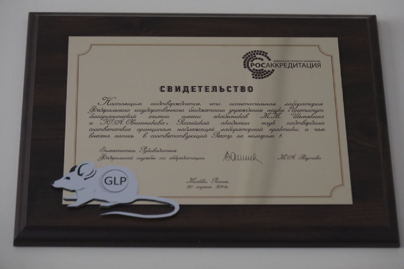 пущино, наука, медицина,