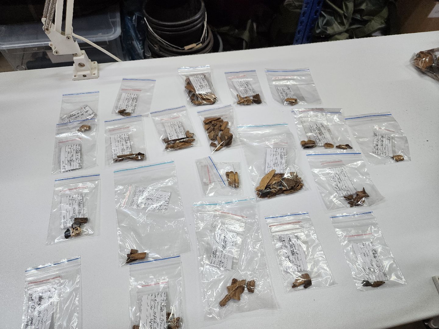 серпухов, подмосковье, средневековье, археология, исследования,