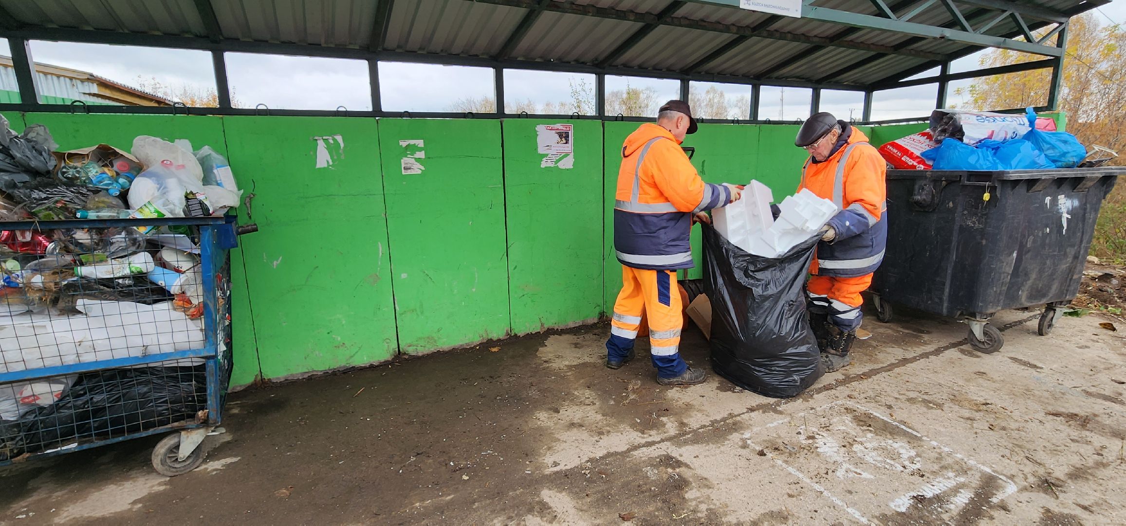 деревня Вяльково, много мусора, Домодедово,