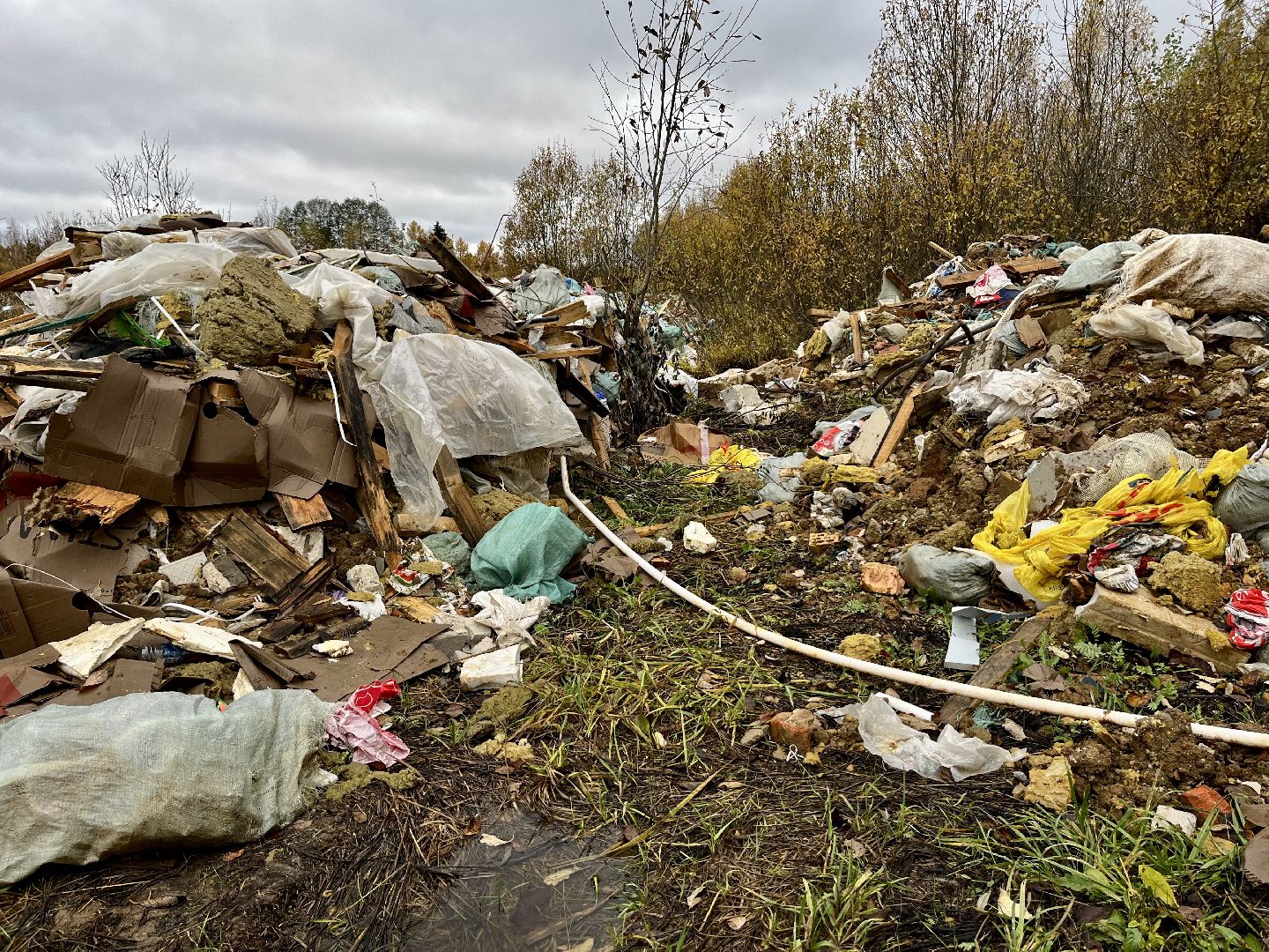 Апрелевка, Наро-Фоминский городской округ, Незаконная свалка, берегите лес, экология, чистое Подмосковье,