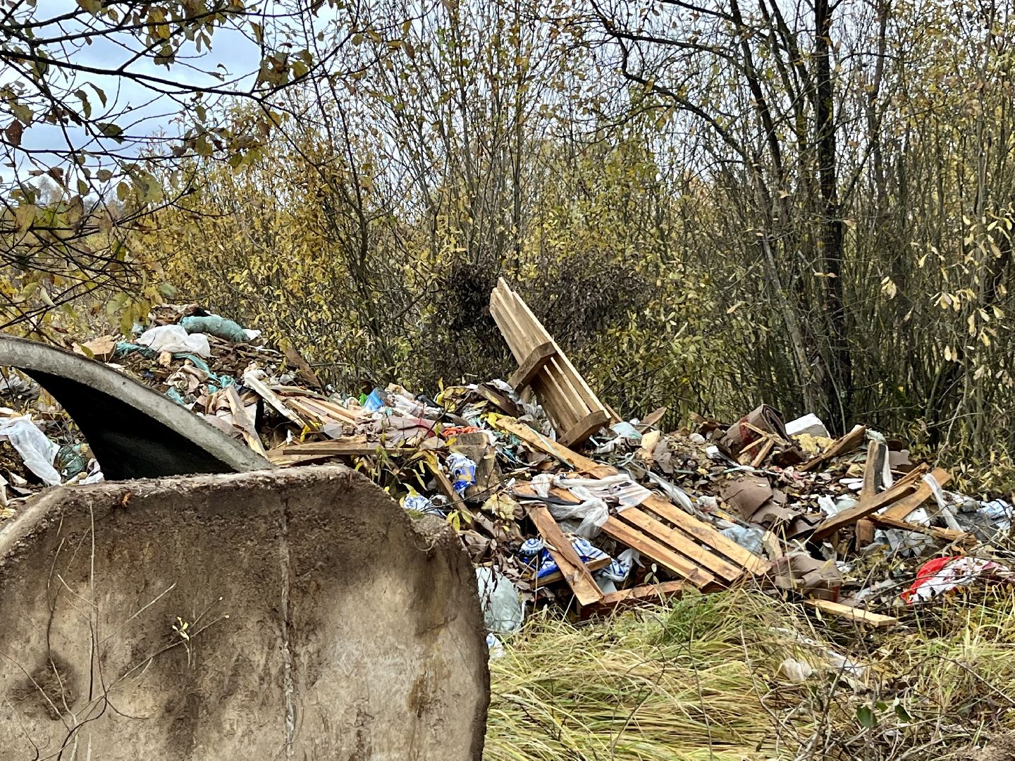Апрелевка, Наро-Фоминский городской округ, Незаконная свалка, берегите лес, экология, чистое Подмосковье,