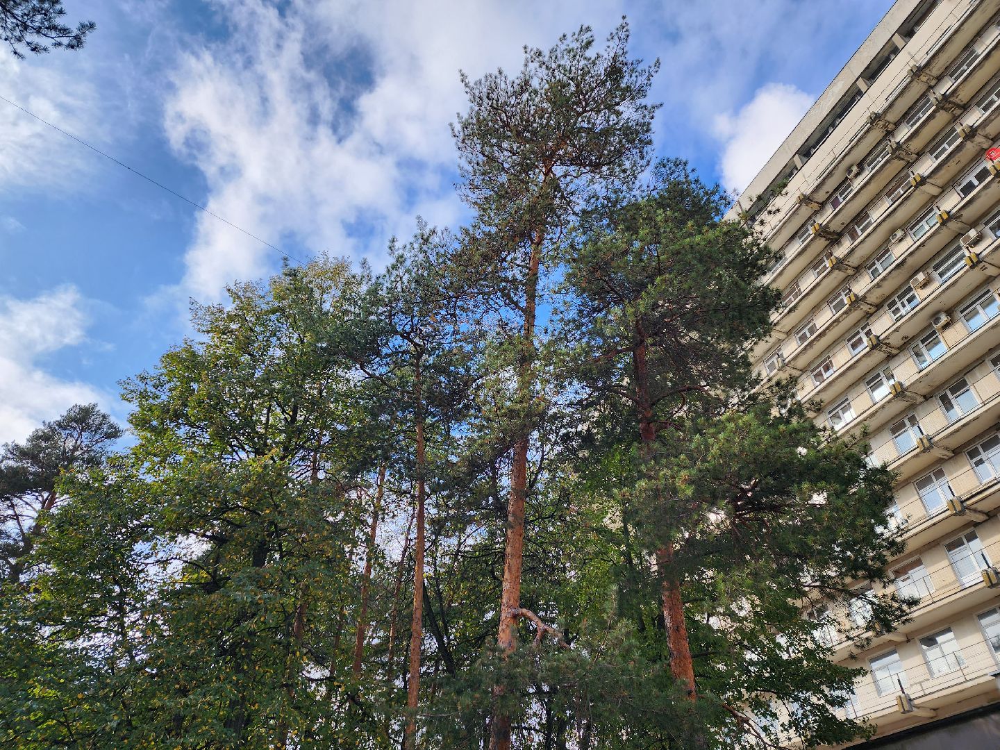 Жуковская ОКБ, кашель, ОРВИ, Маликов,