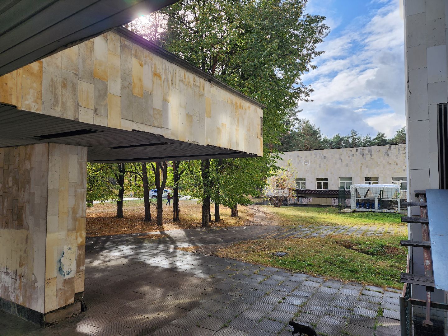 Жуковская ОКБ, кашель, ОРВИ, Маликов,