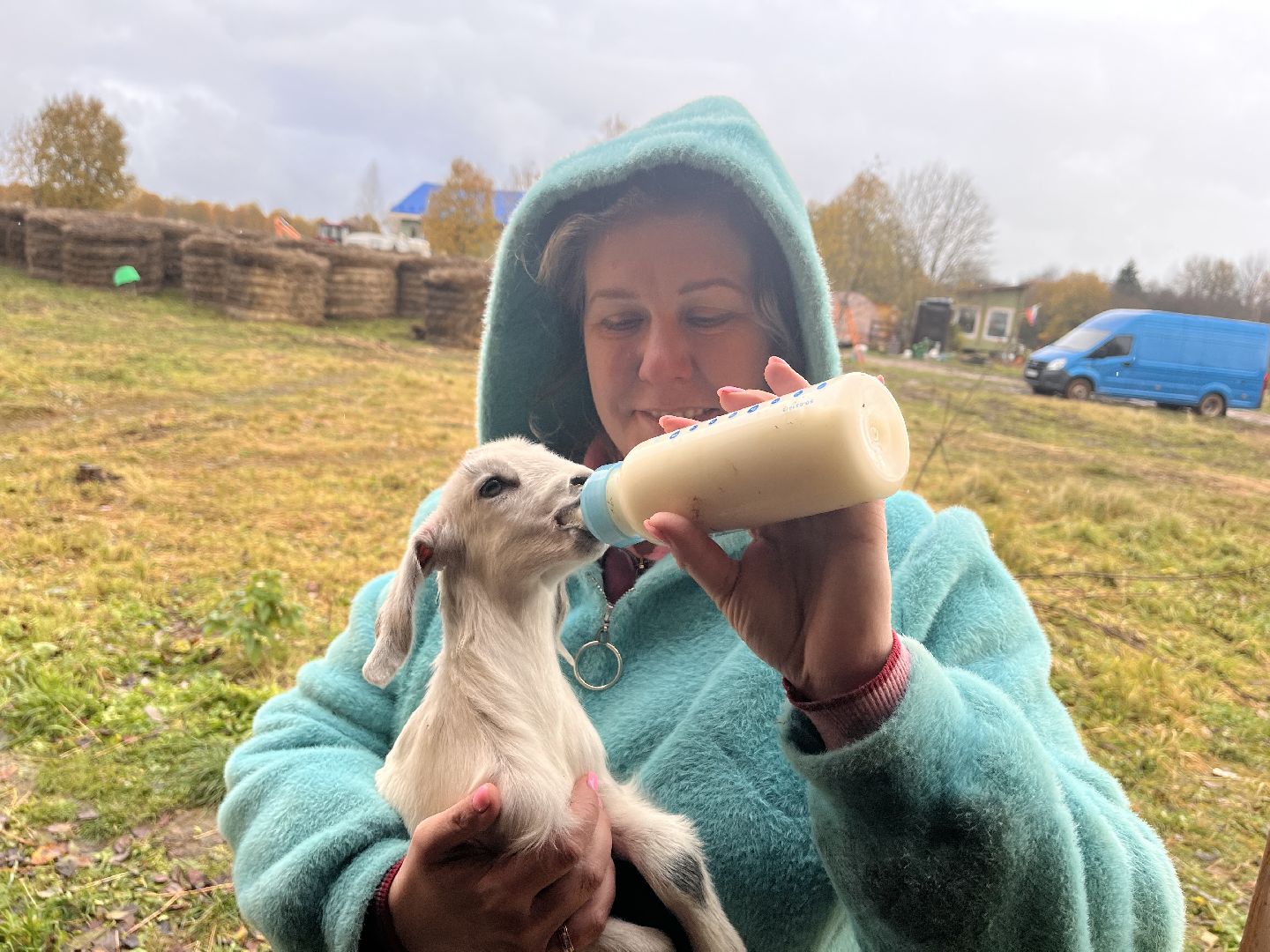 шаховская, сельское хозяйство, фермеры, козы, коровы, лошади, куры, гуси,