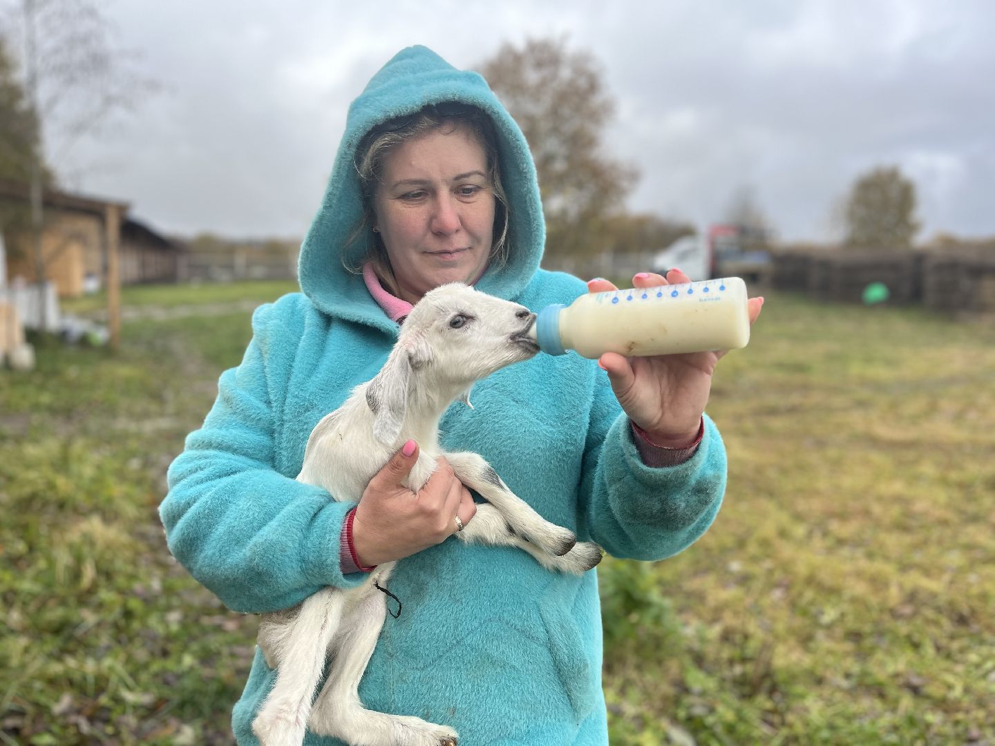 шаховская, сельское хозяйство, фермеры, козы, коровы, лошади, куры, гуси,