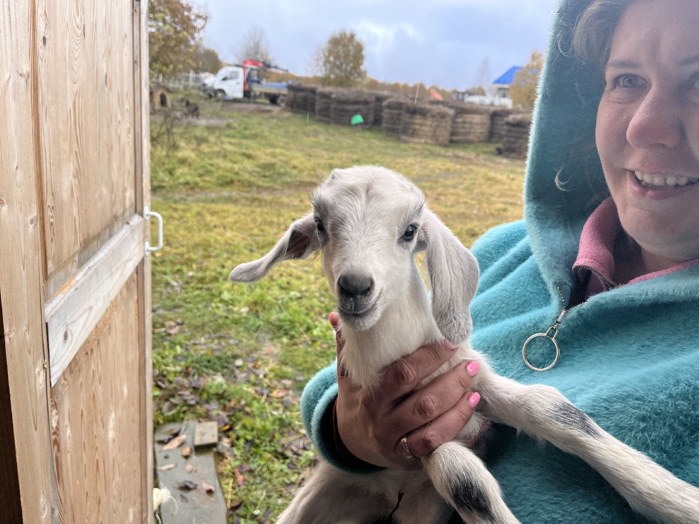 шаховская, сельское хозяйство, фермеры, козы, коровы, лошади, куры, гуси,