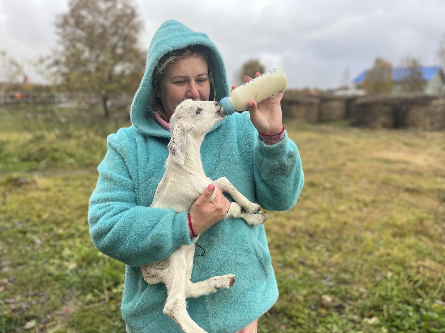 шаховская, сельское хозяйство, фермеры, козы, коровы, лошади, куры, гуси,