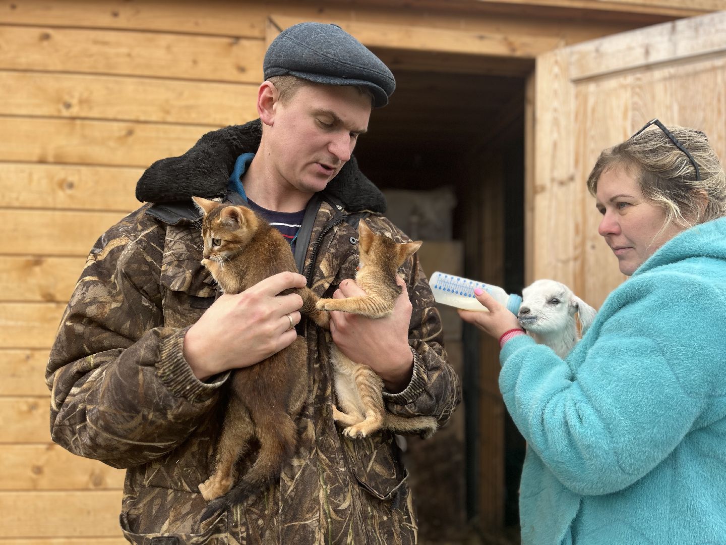 шаховская, сельское хозяйство, фермеры, козы, коровы, лошади, куры, гуси,