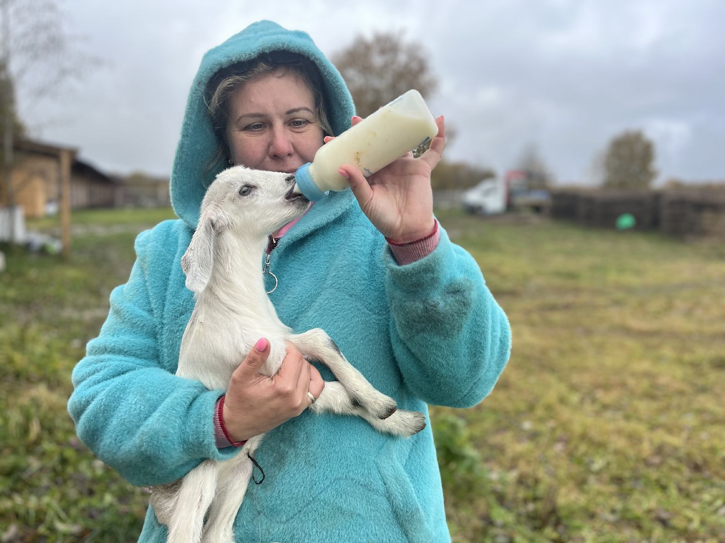 шаховская, сельское хозяйство, фермеры, козы, коровы, лошади, куры, гуси,