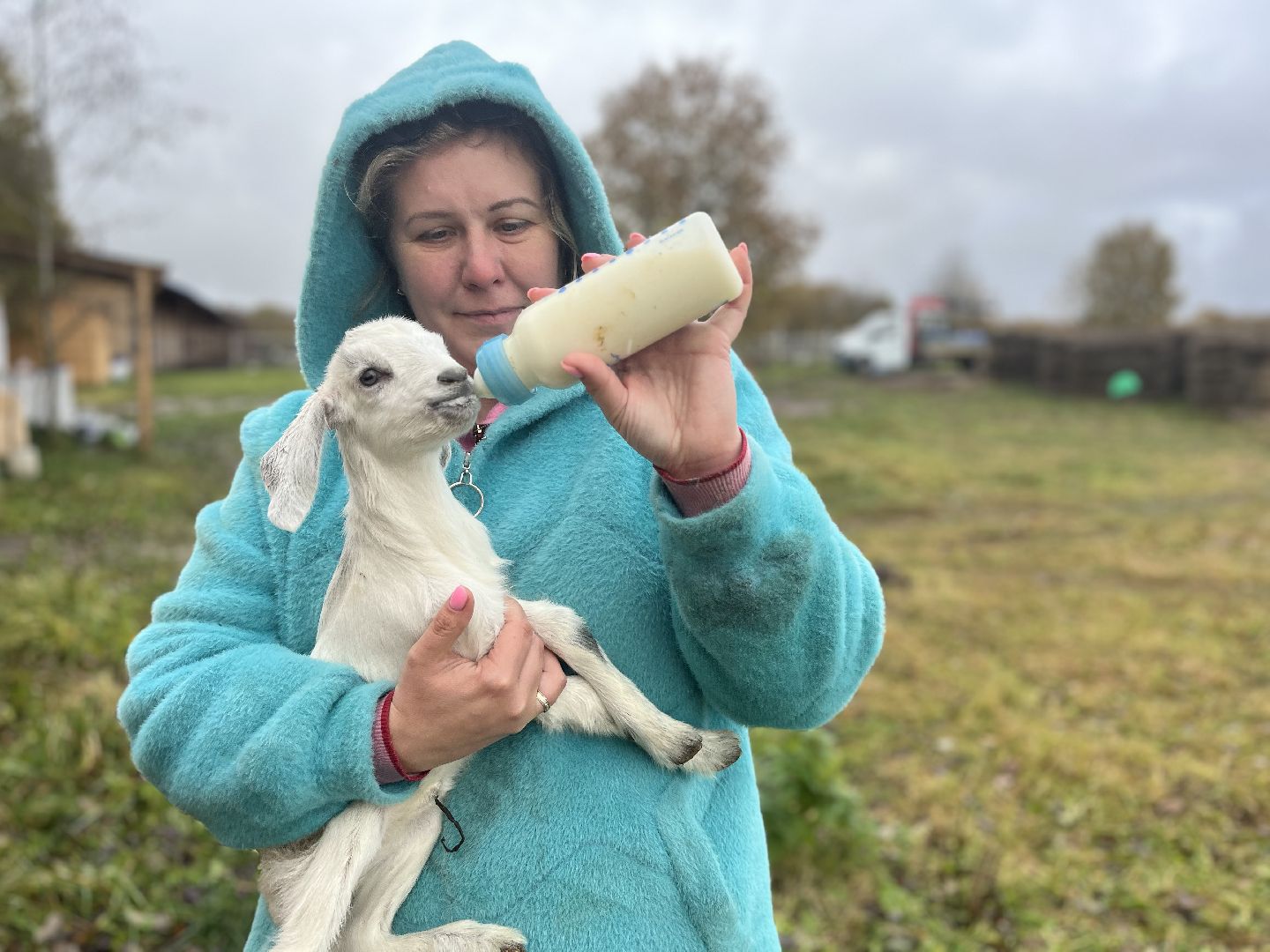шаховская, сельское хозяйство, фермеры, козы, коровы, лошади, куры, гуси,