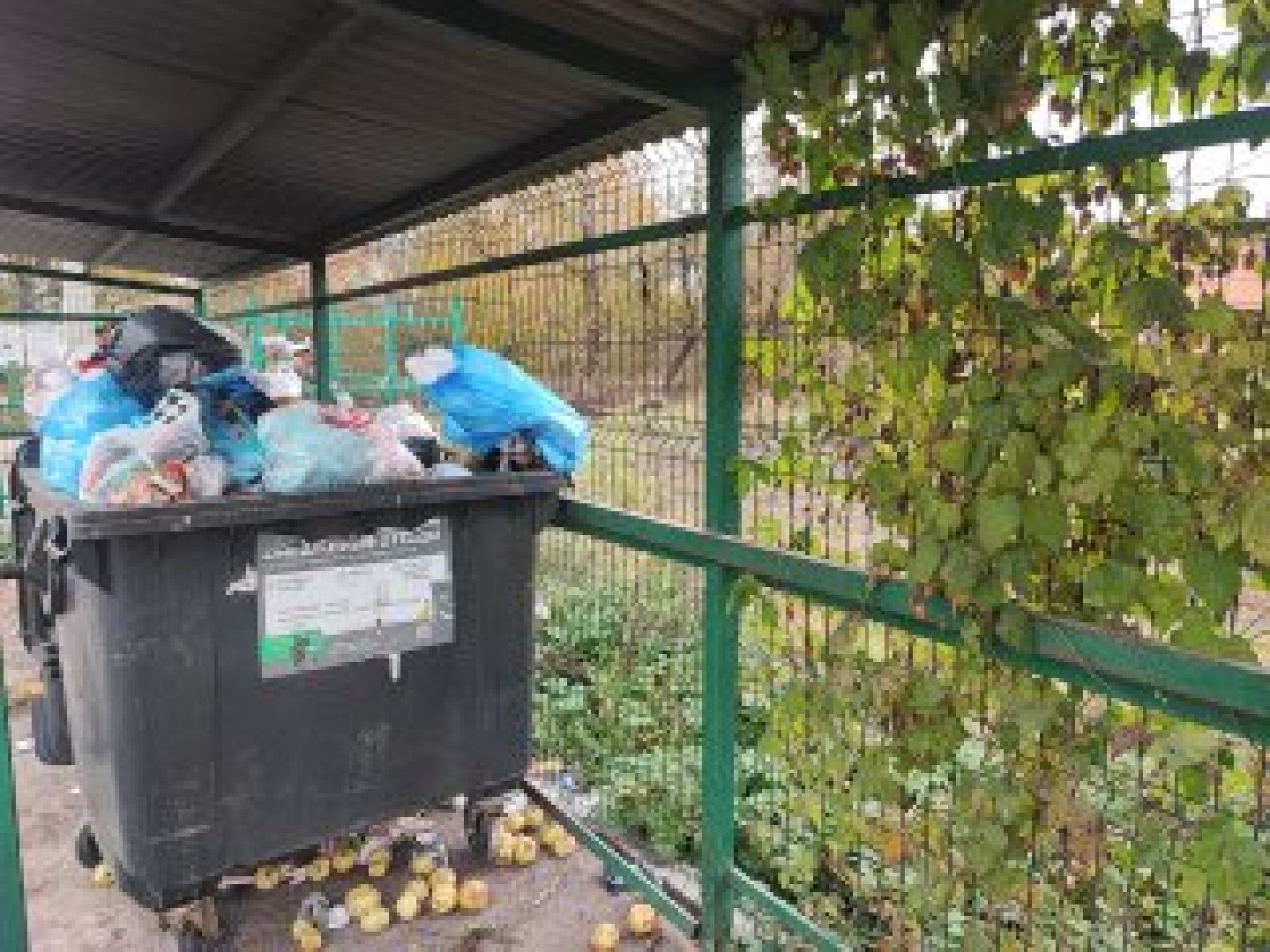 Клин, общество, ЖКХ, люди, мусорные площадки,