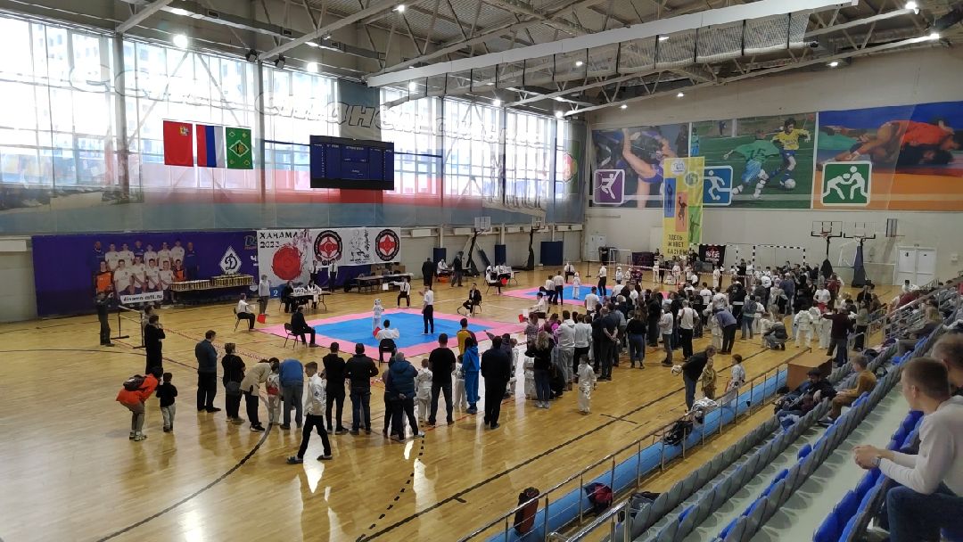 Пушкино, Пушкинский округ, Пушкинский, Весна в Подмосковье, спорт, киокусинкай,