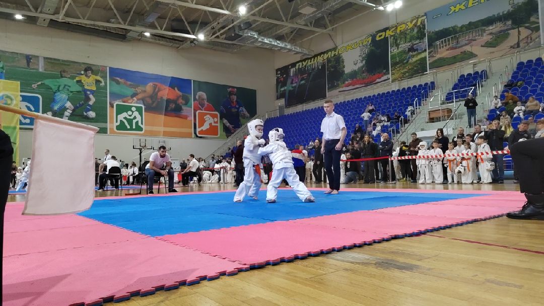 Пушкино, Пушкинский округ, Пушкинский, Весна в Подмосковье, спорт, киокусинкай,