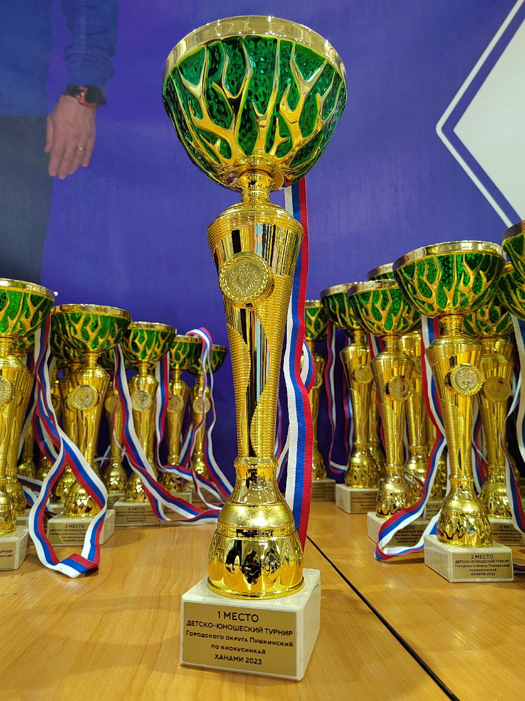 Пушкино, Пушкинский округ, Пушкинский, Весна в Подмосковье, спорт, киокусинкай,