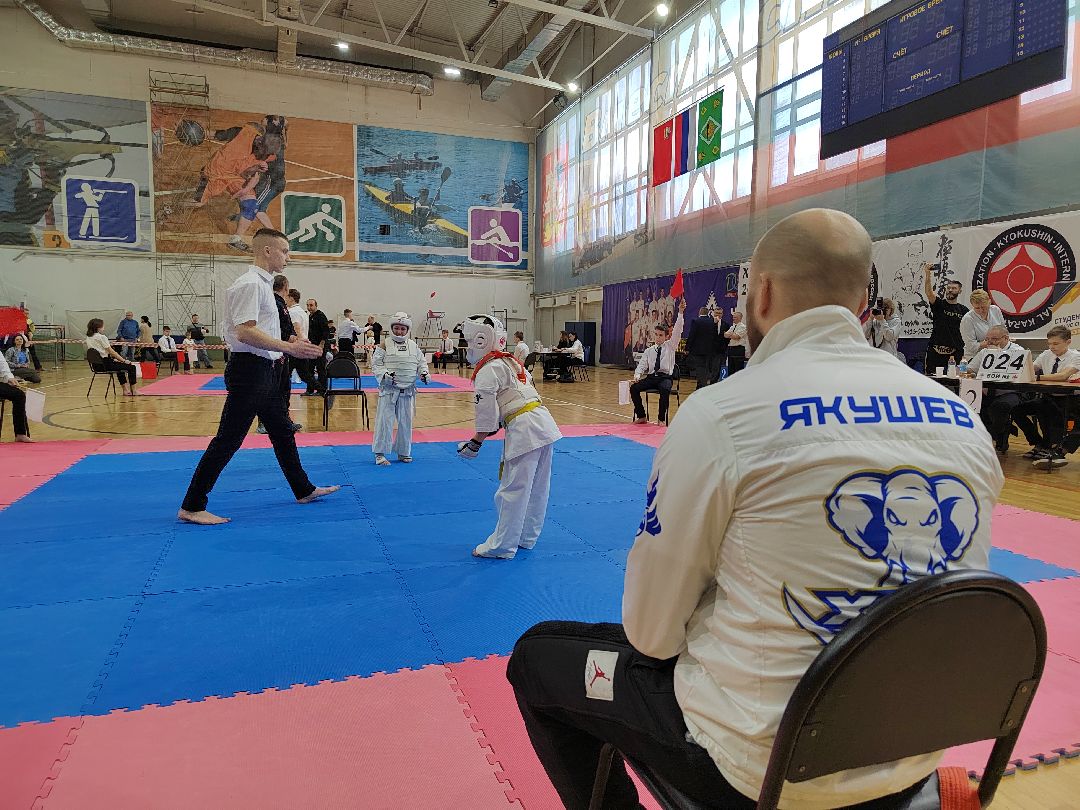 Пушкино, Пушкинский округ, Пушкинский, Весна в Подмосковье, спорт, киокусинкай,