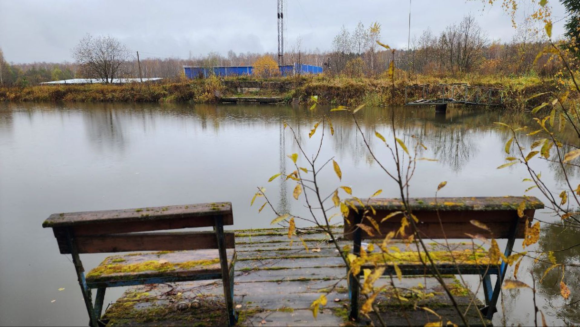 Дмитров, ВНИРО, ВНИИПРХ, Росрыболовство,