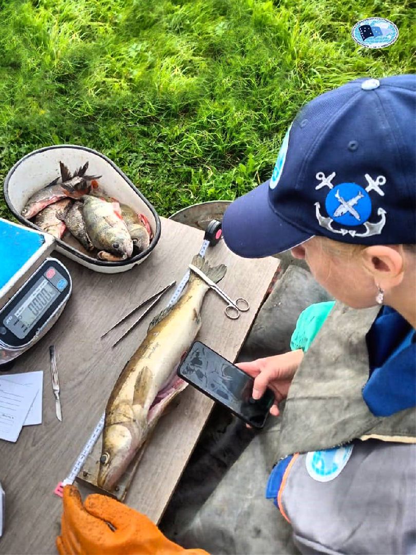 Дмитров, ВНИРО, ВНИИПРХ, Росрыболовство,