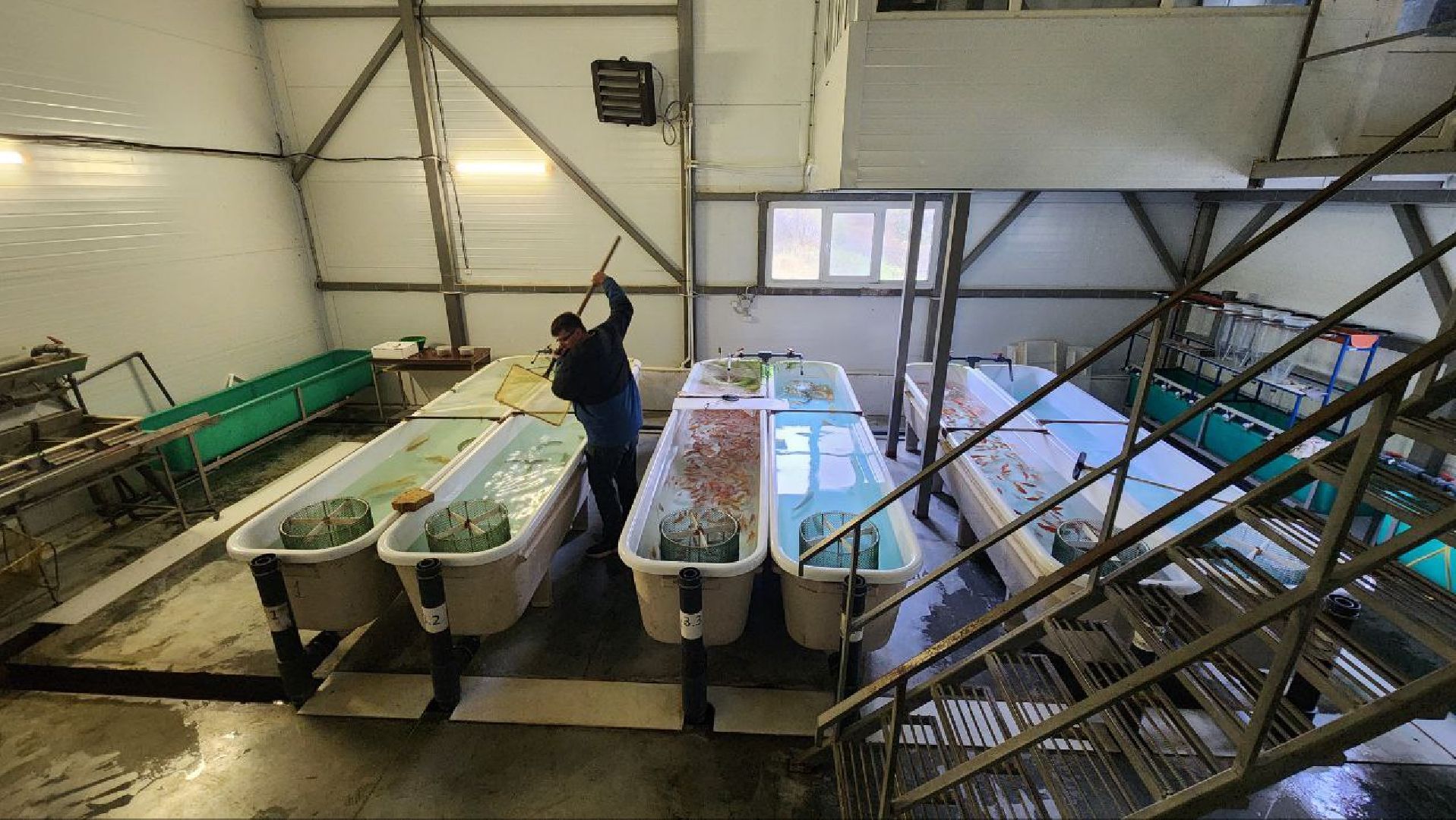 Дмитров, ВНИРО, ВНИИПРХ, Росрыболовство,