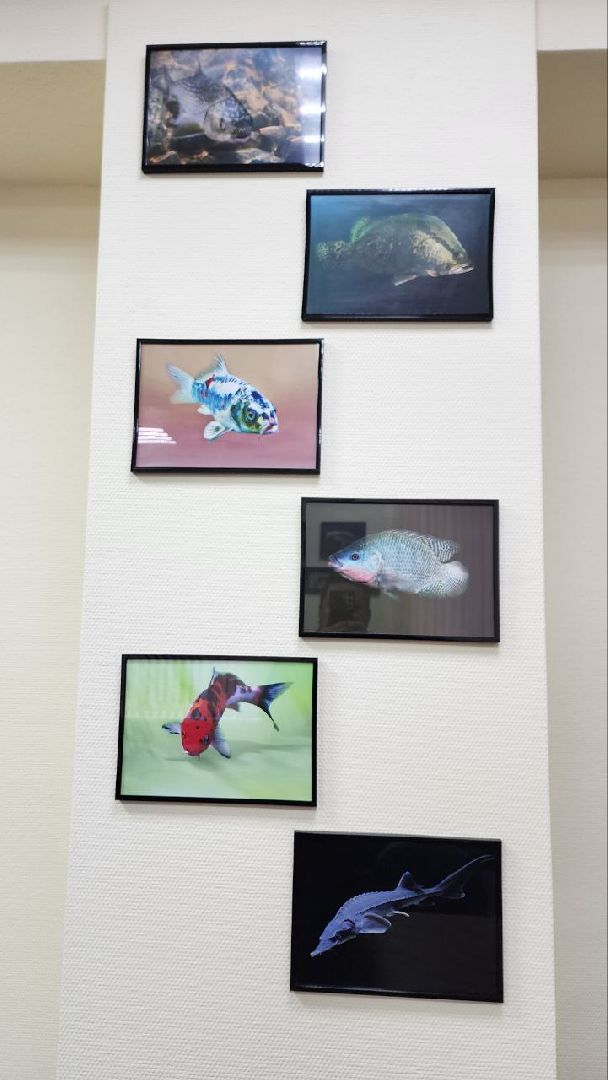 Дмитров, ВНИРО, ВНИИПРХ, Росрыболовство,