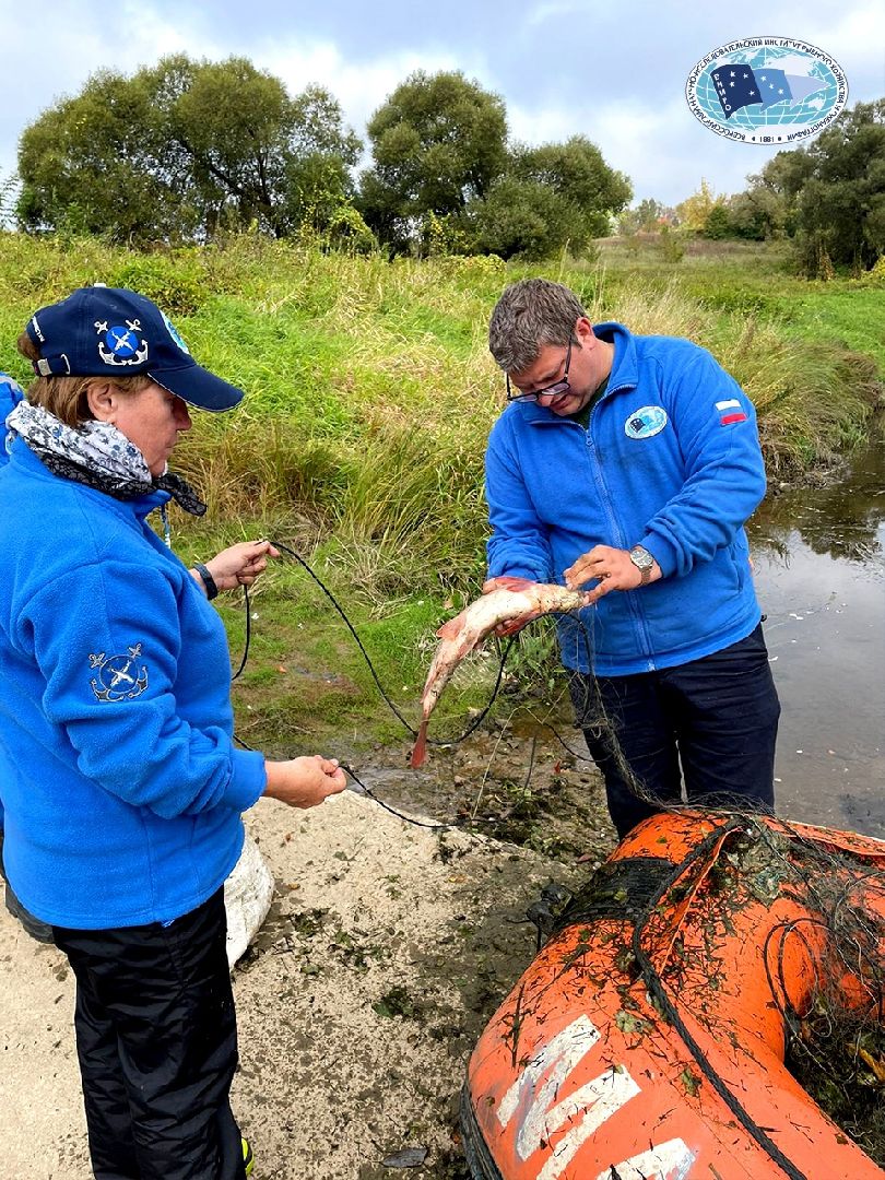 Дмитров, ВНИРО, ВНИИПРХ, Росрыболовство,