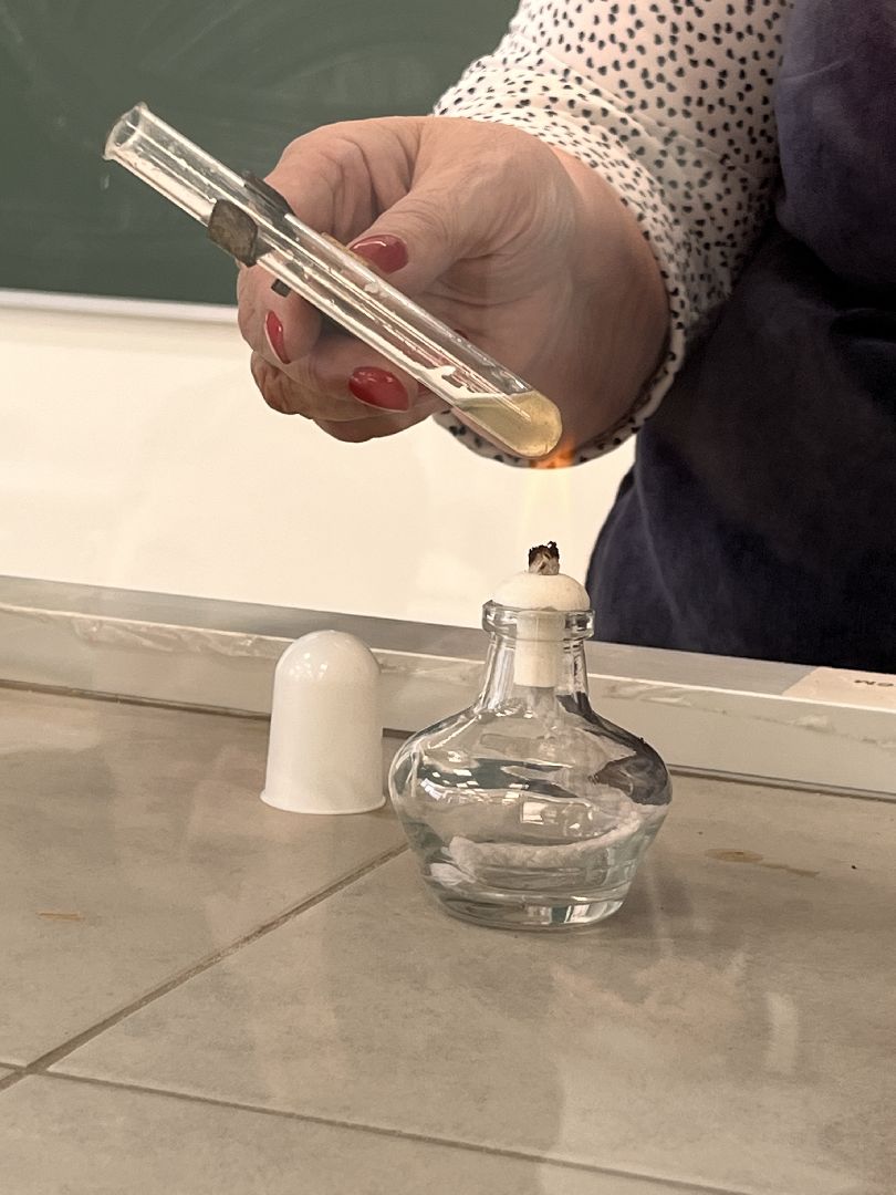 школа, образование, образование подмосковья, руза, рузский городской округ, московская область, подмосковье,