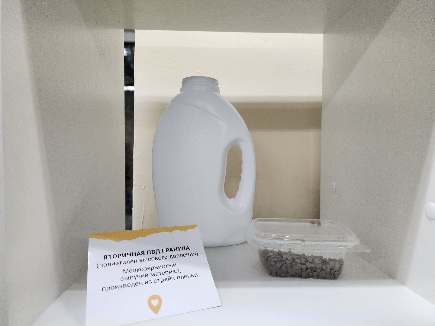 экология, щёлково, образование,