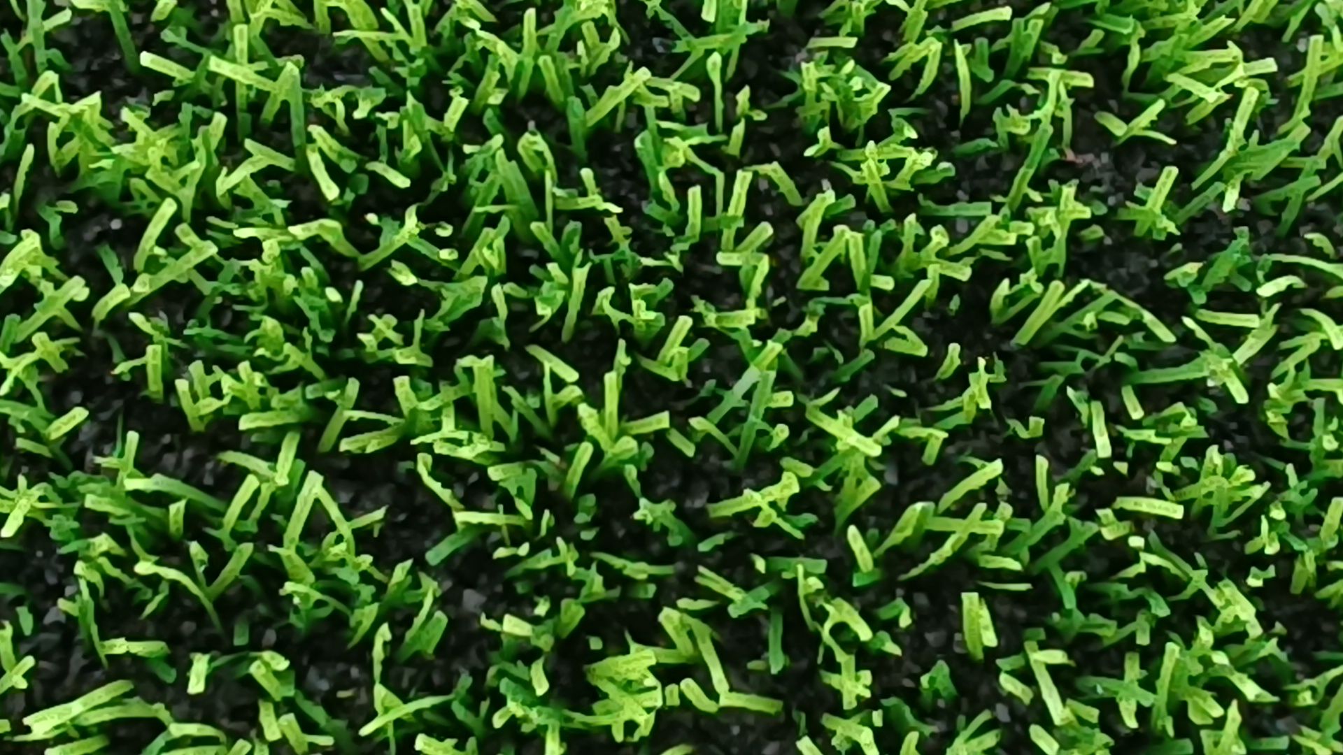 лобня, стадион, реконструкция,