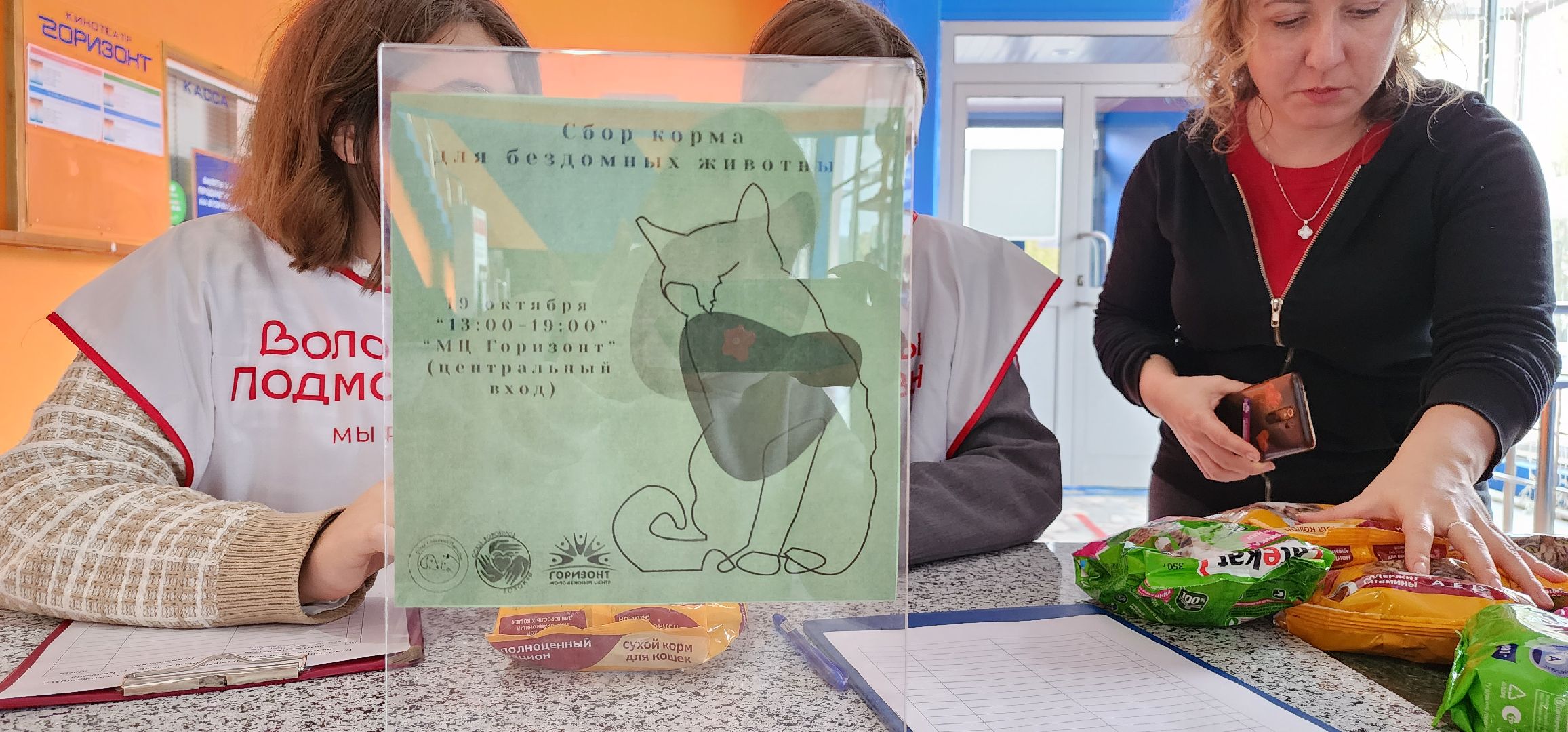 Коломна, волонтерство, бездомные животные, благотворительая акция,