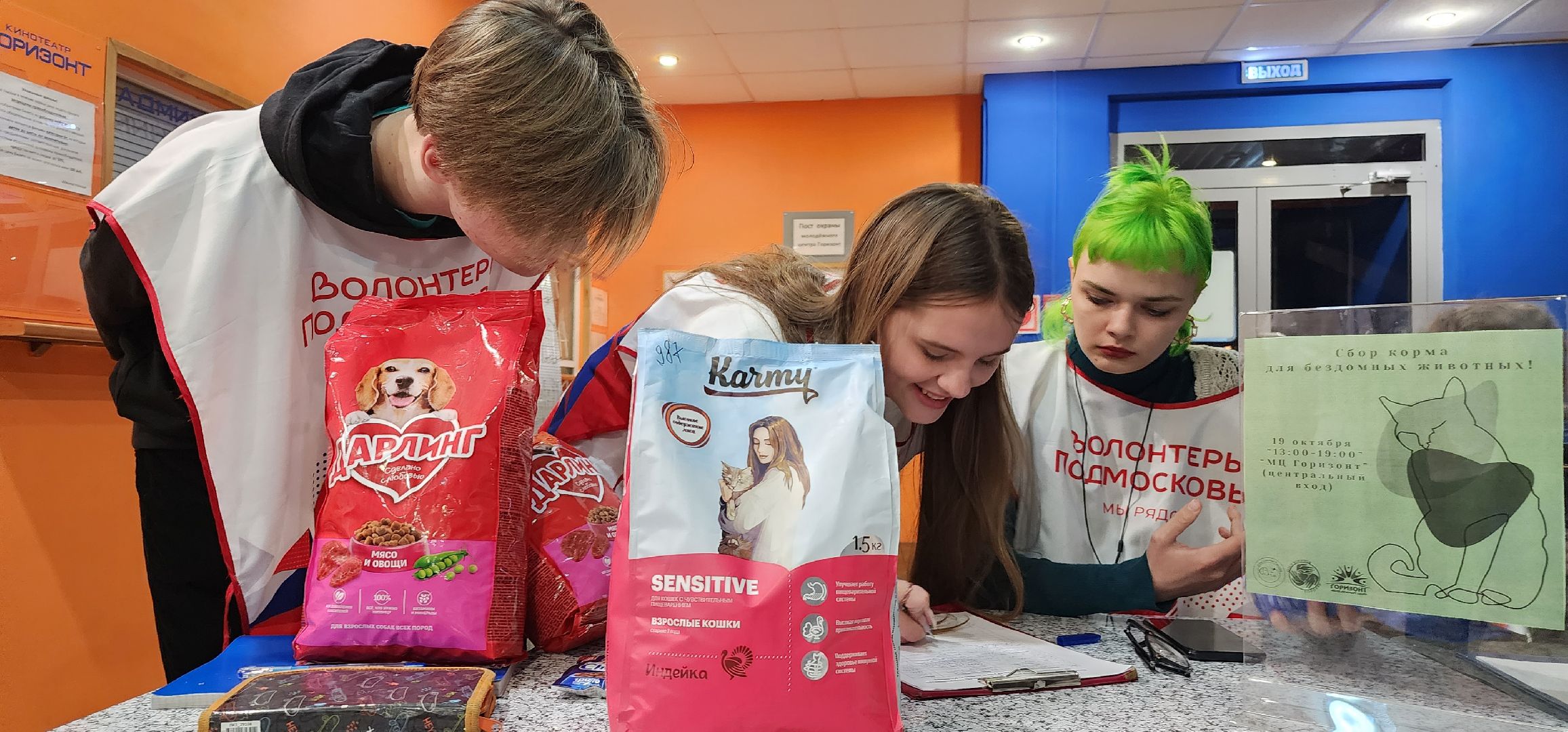 Коломна, волонтерство, бездомные животные, благотворительая акция,