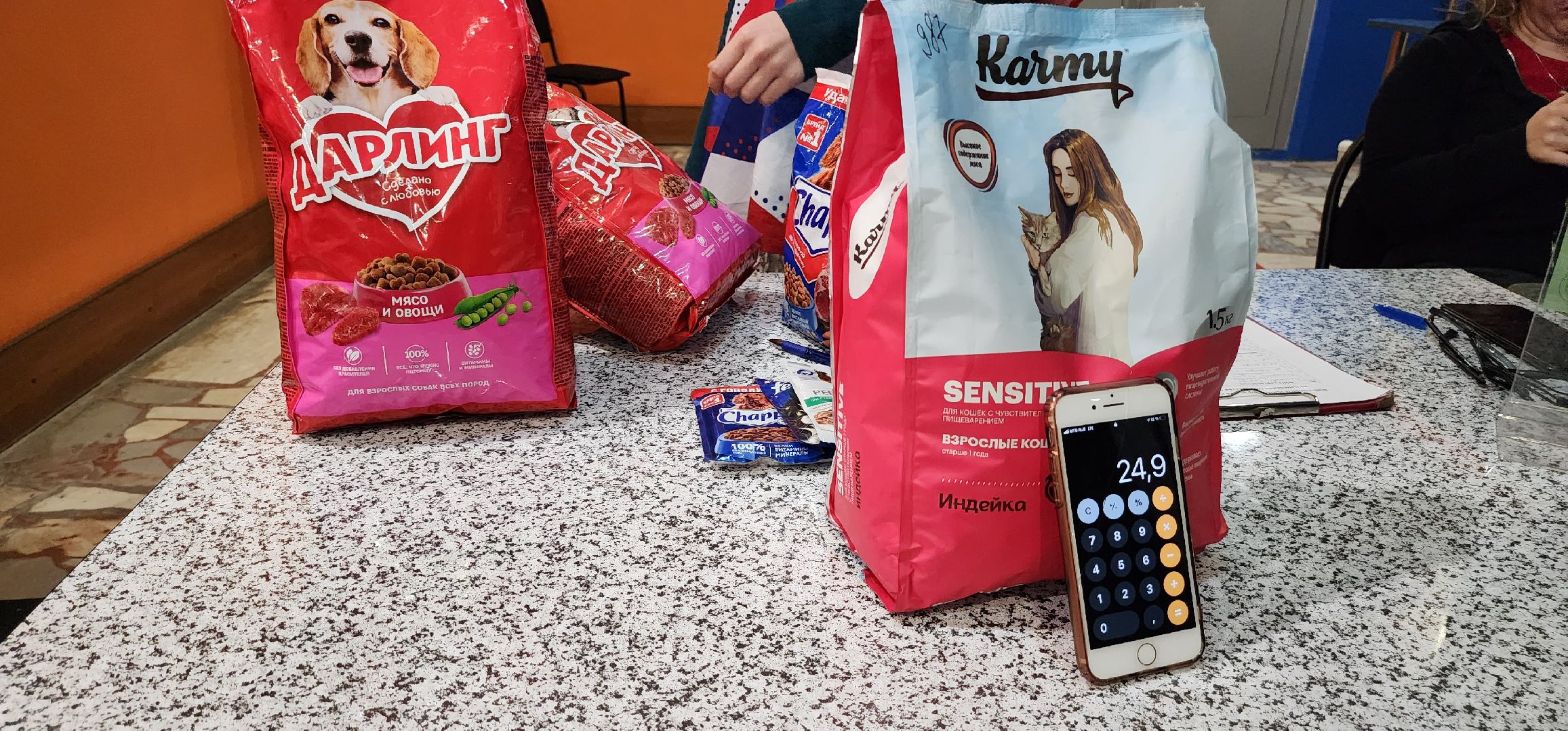 Коломна, волонтерство, бездомные животные, благотворительая акция,