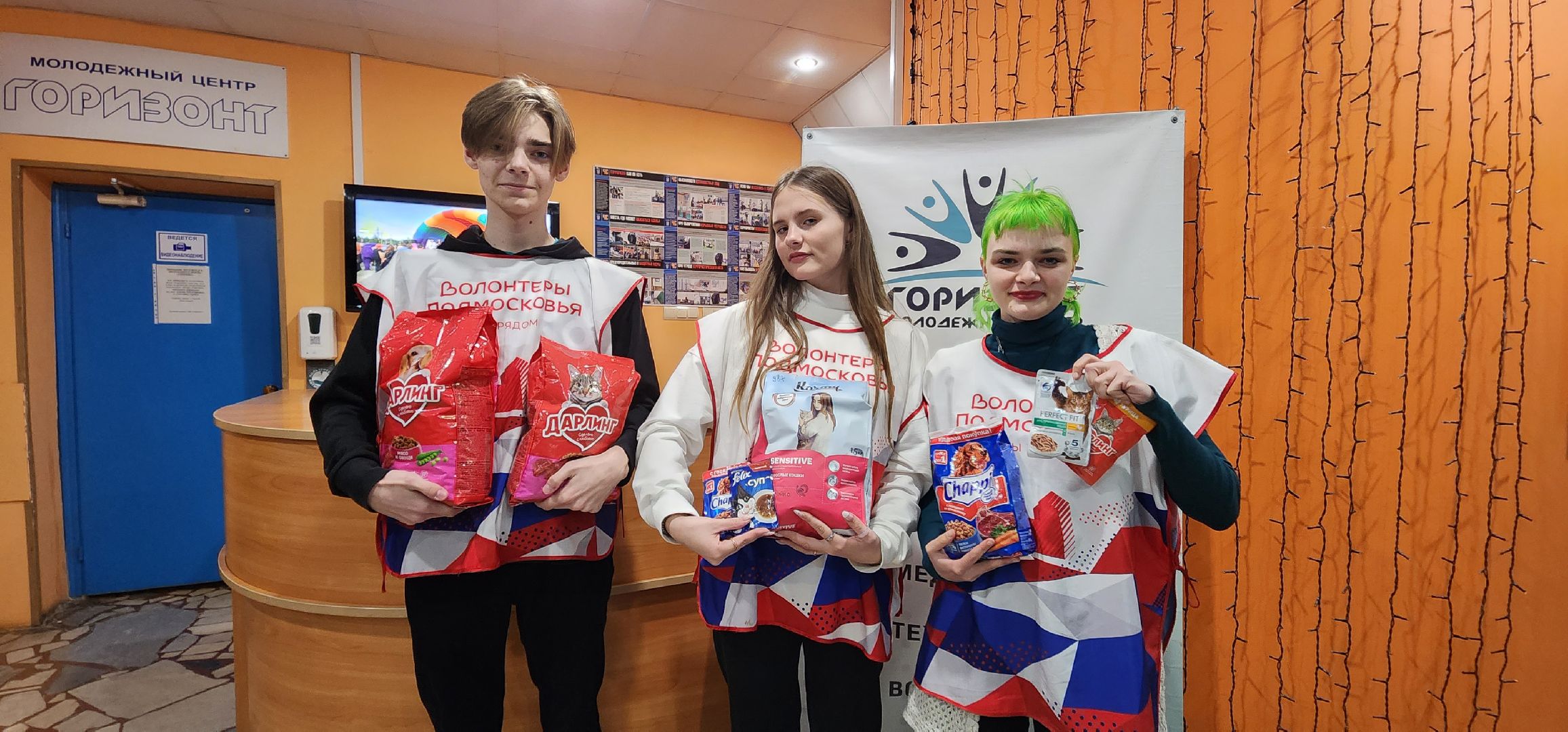 Коломна, волонтерство, бездомные животные, благотворительая акция,