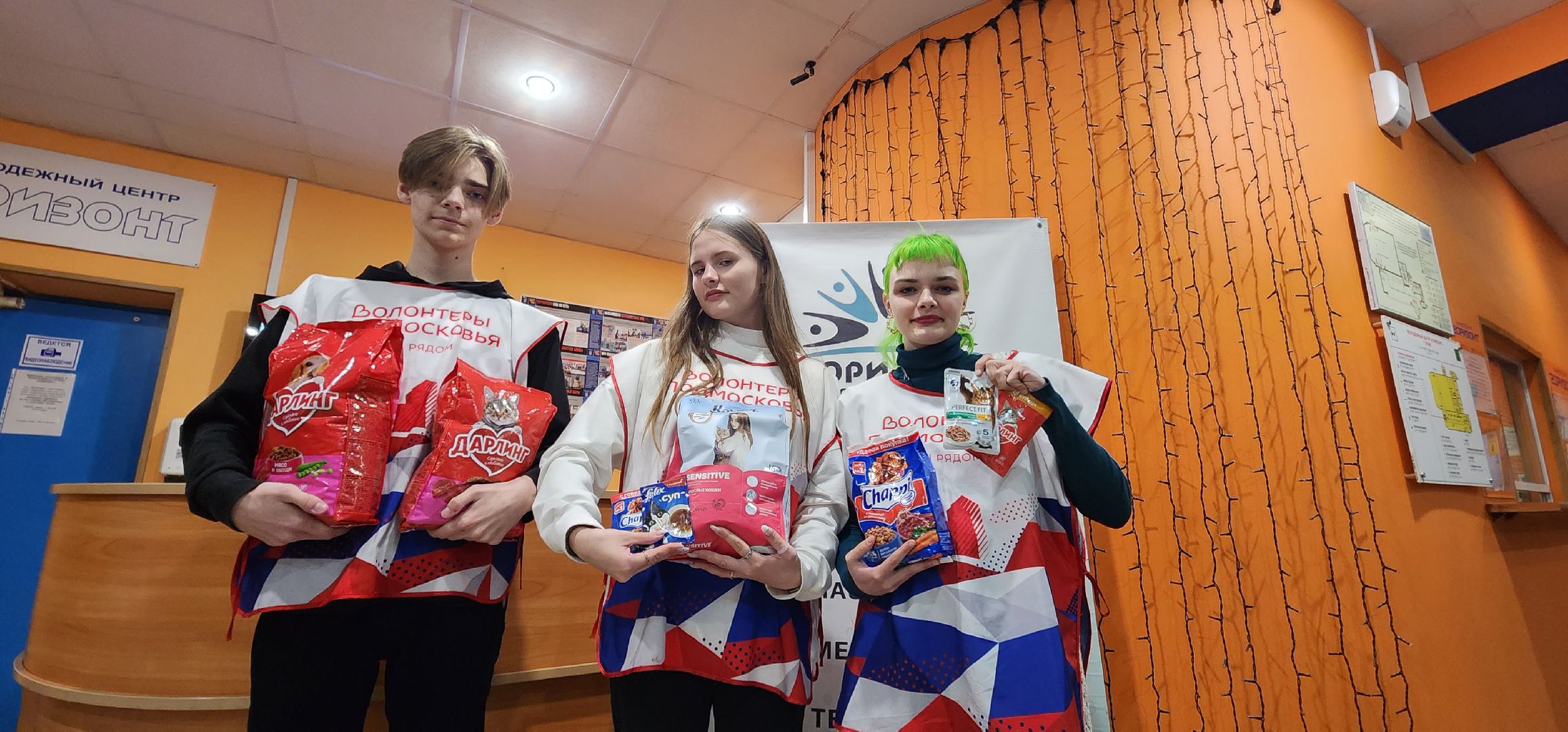 Коломна, волонтерство, бездомные животные, благотворительая акция,