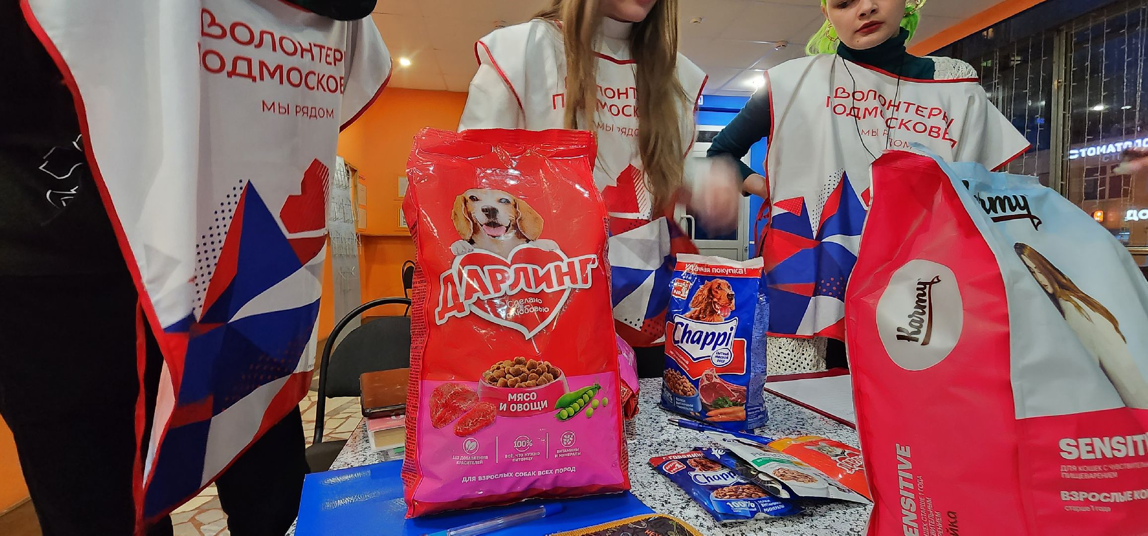 Коломна, волонтерство, бездомные животные, благотворительая акция,