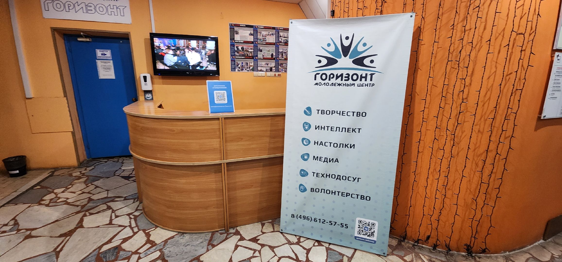 Коломна, волонтерство, бездомные животные, благотворительая акция,