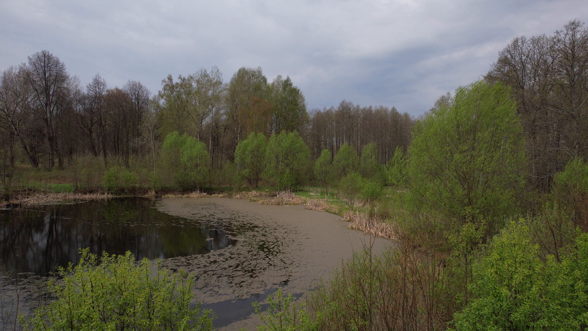 талдом, культура, история,видео с коптера,