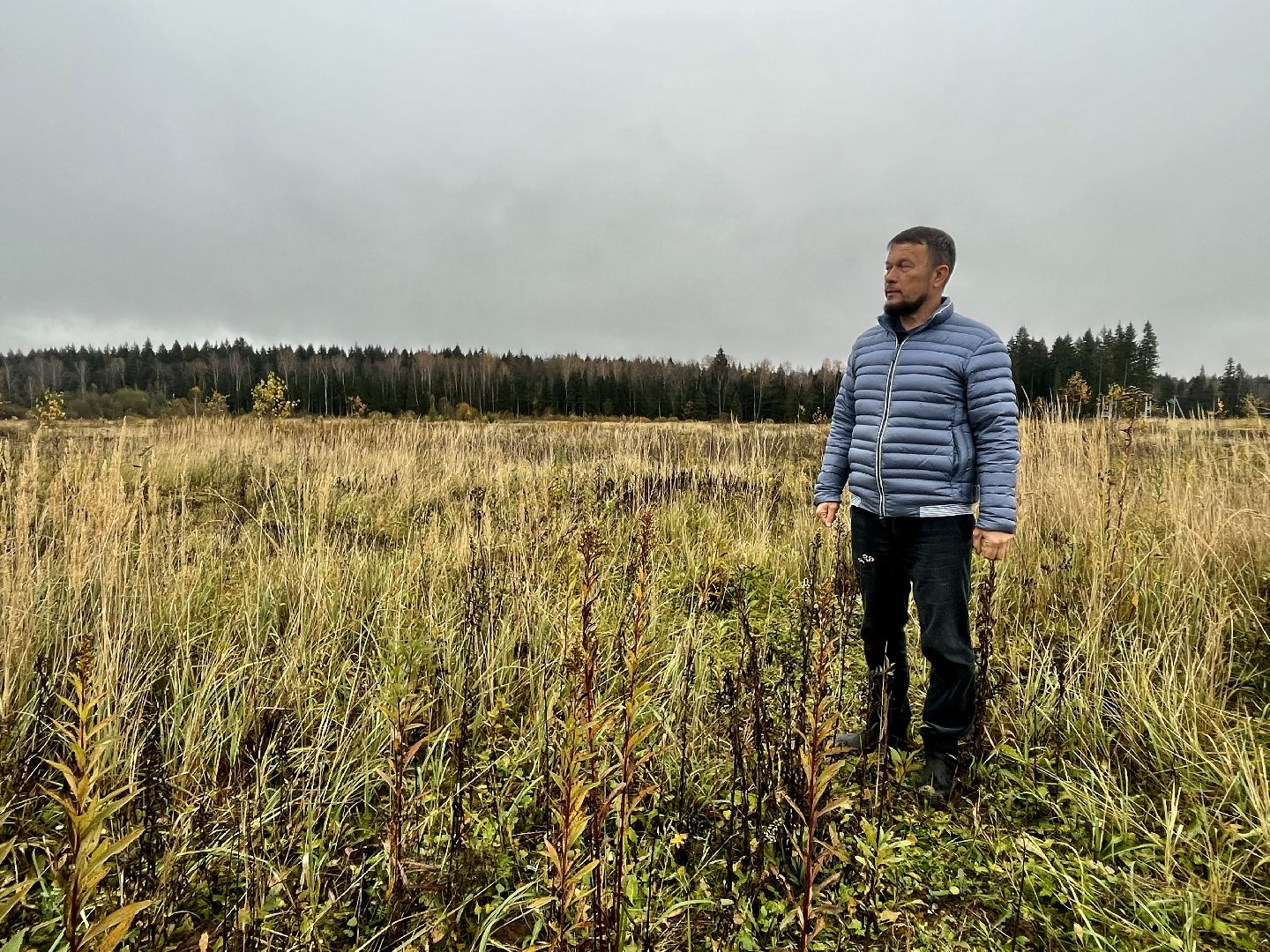 наро-фоминск, наро-фоминский городской округ, сельское хозяйство, агроподворье, фермерство, Подмосковье,