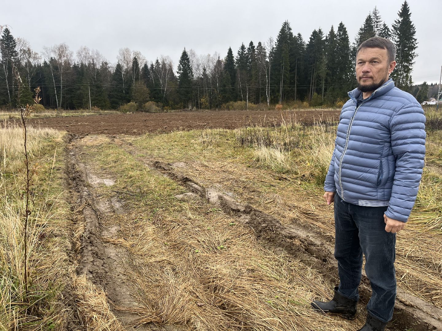 наро-фоминск, наро-фоминский городской округ, сельское хозяйство, агроподворье, фермерство, Подмосковье,
