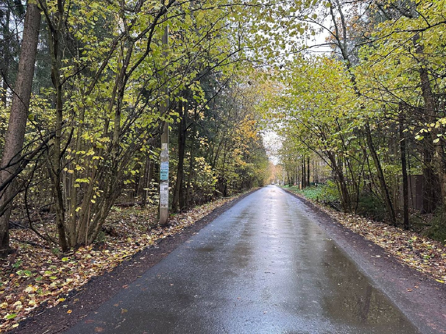 ремонт дорог, наро-фоминский городской округ, губернаторская программа,