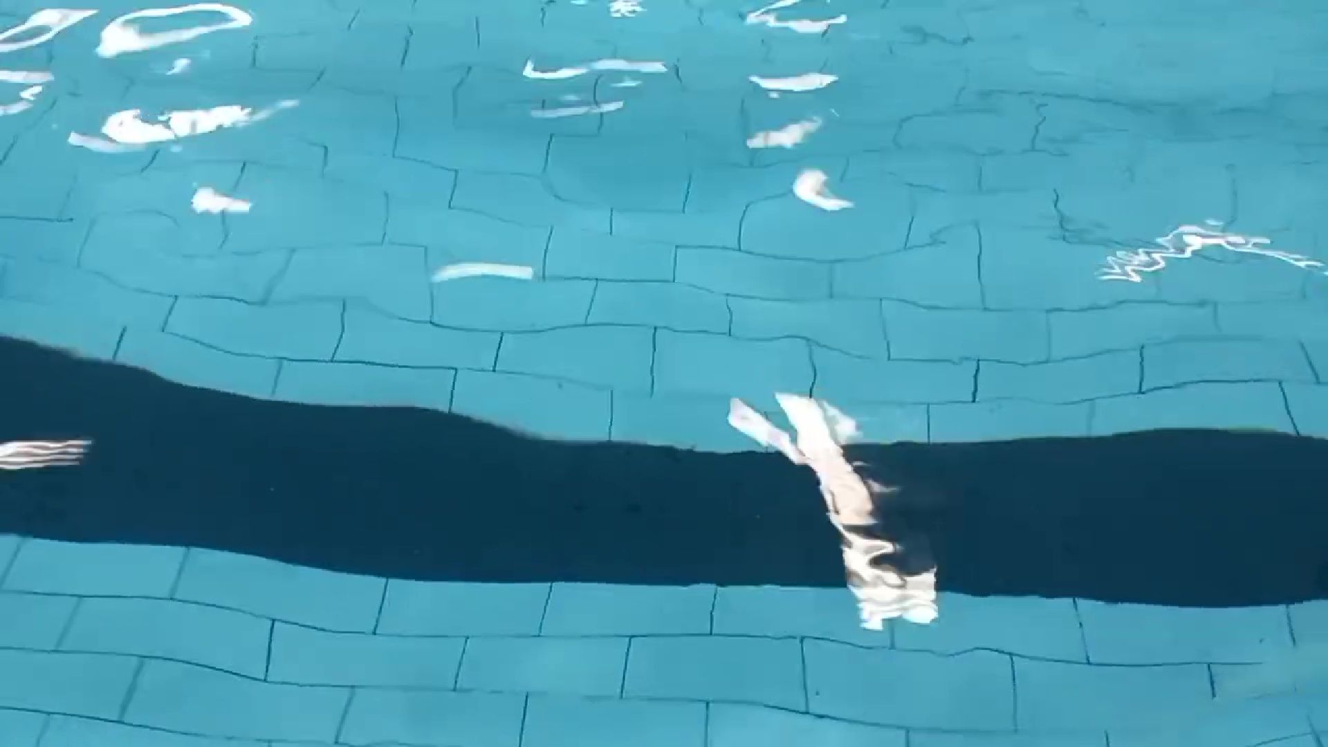 Реутов, бассейн, плавание, ремонт, детский бассейн, спортзал, кровля, электроснабжение, канализация, водопровод,