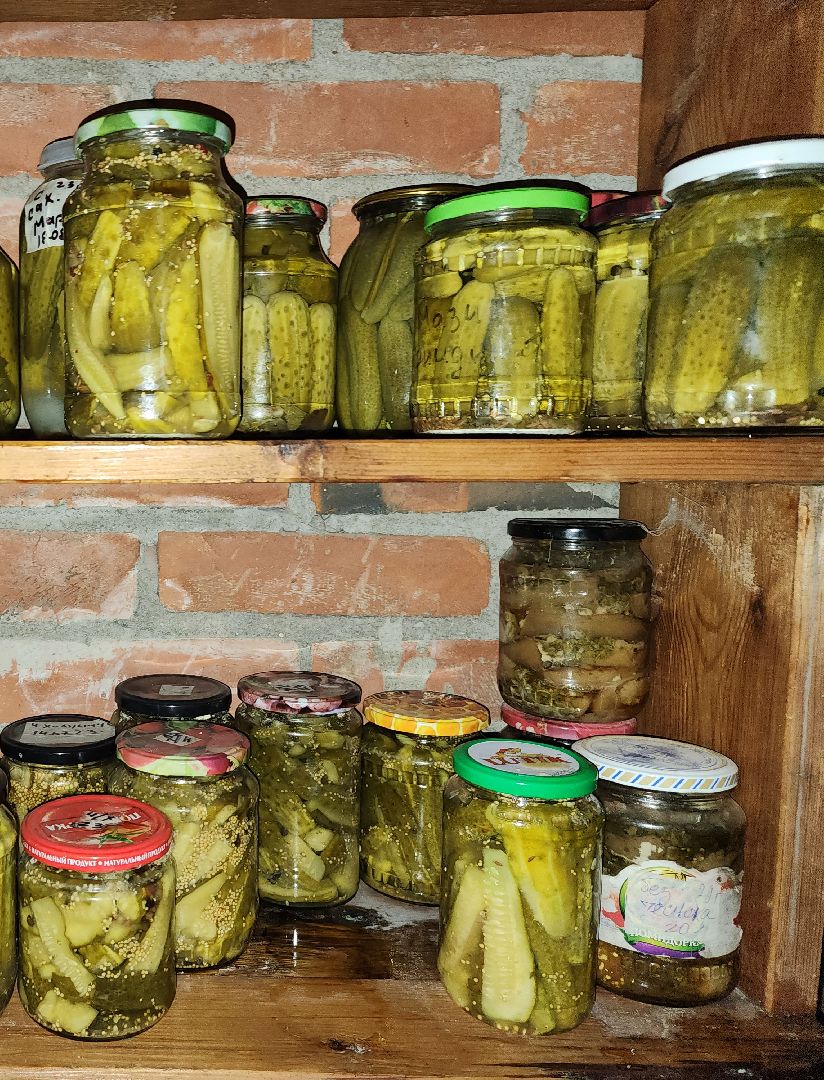 Урожай, заготовки, хранение урожая, Старая Купавна, Богородский городской округ,