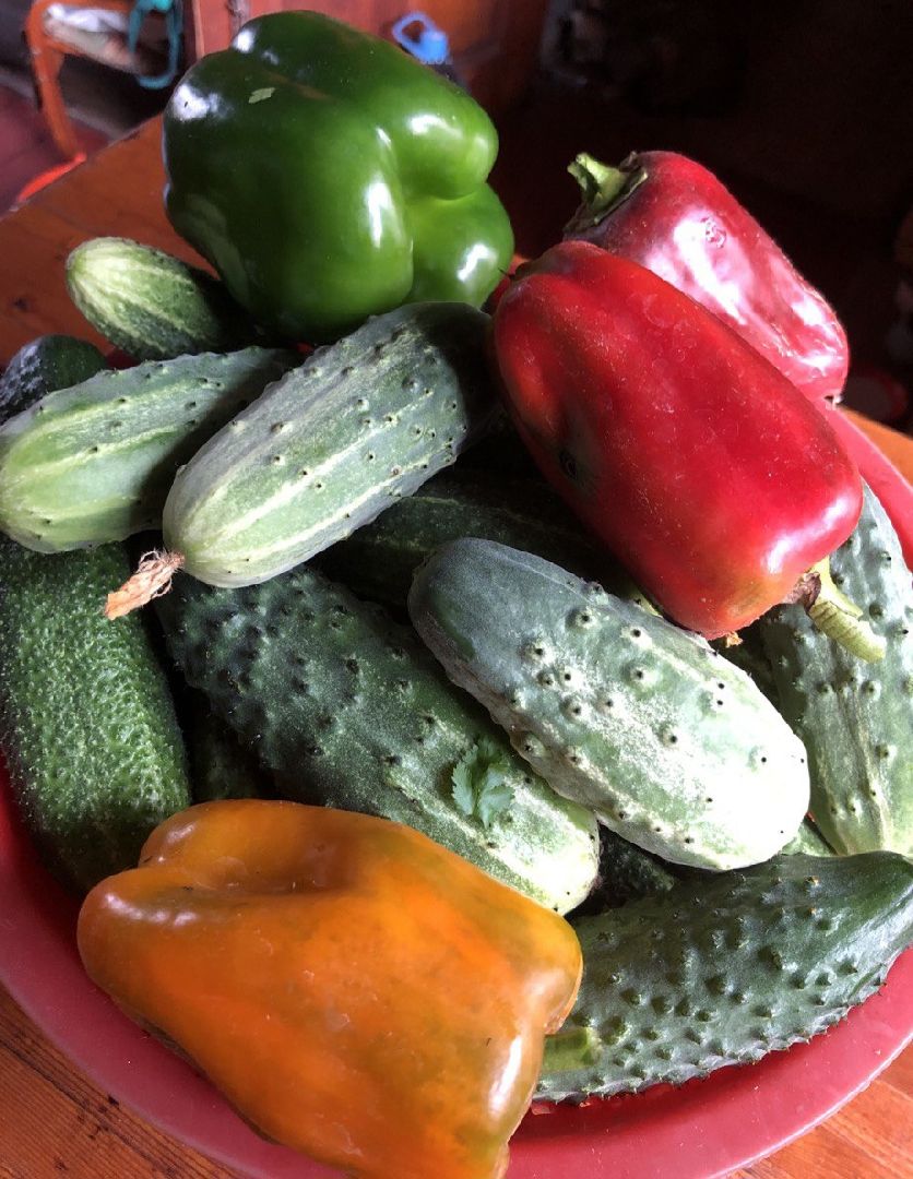 Урожай, заготовки, хранение урожая, Старая Купавна, Богородский городской округ,