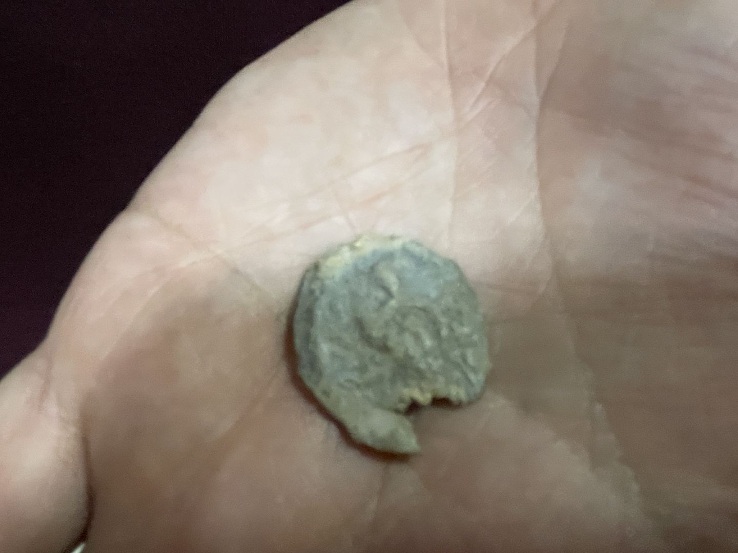 волоколамск, волоколамский кремль, Уникальная печать, новый экспонат,