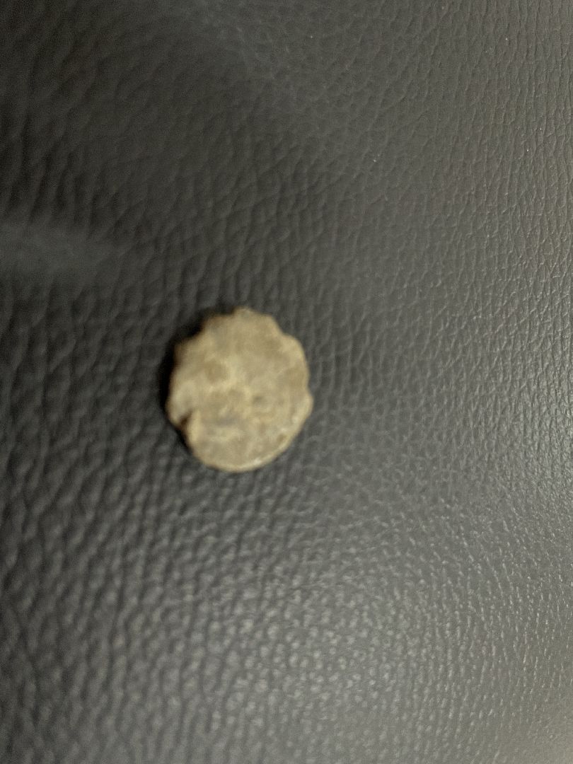 волоколамск, волоколамский кремль, Уникальная печать, новый экспонат,