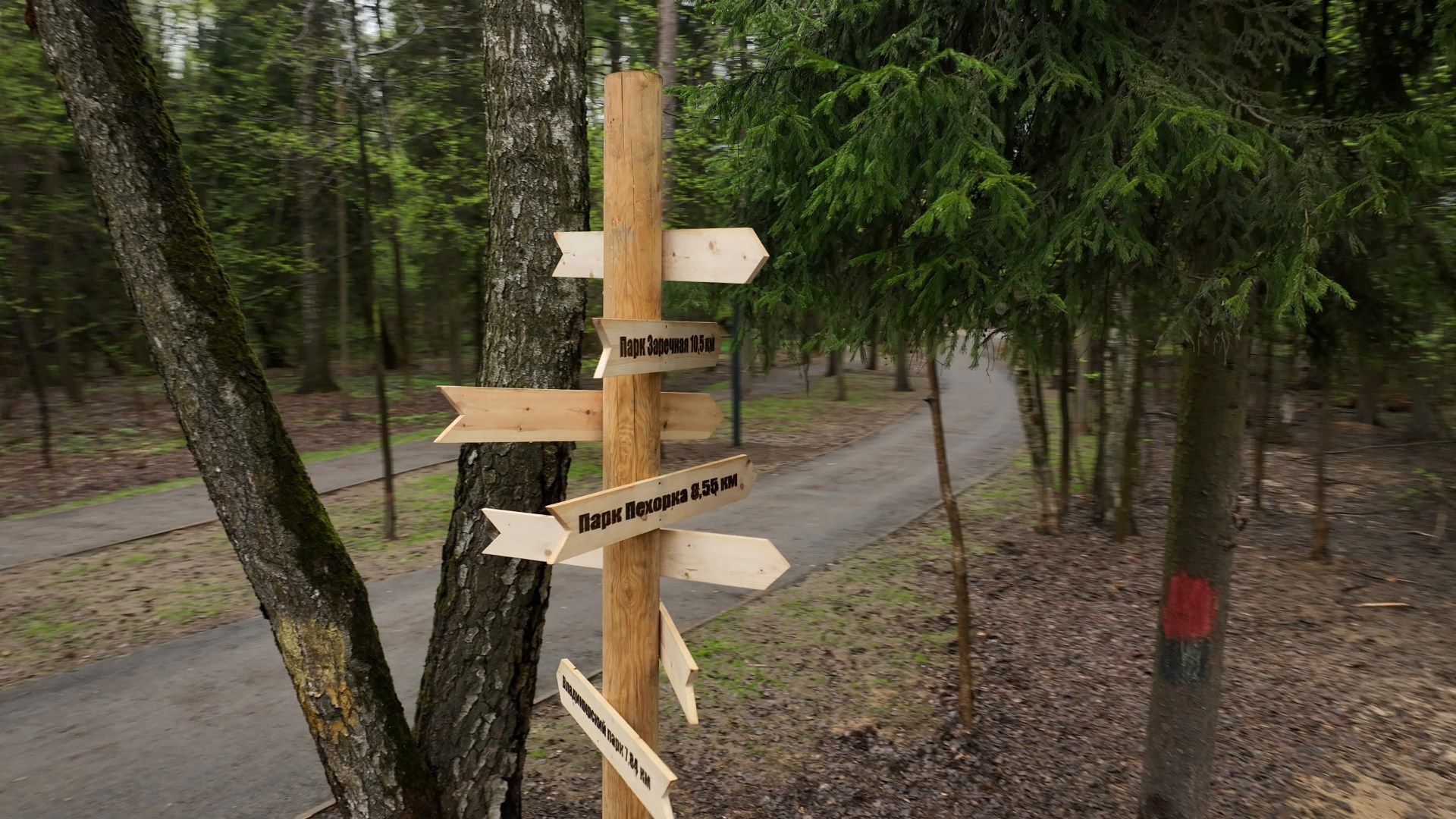 балашиха, парк, ольгинский,видео с коптера,