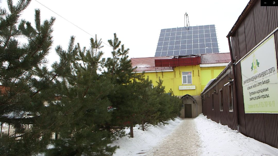 Дмитров, общество