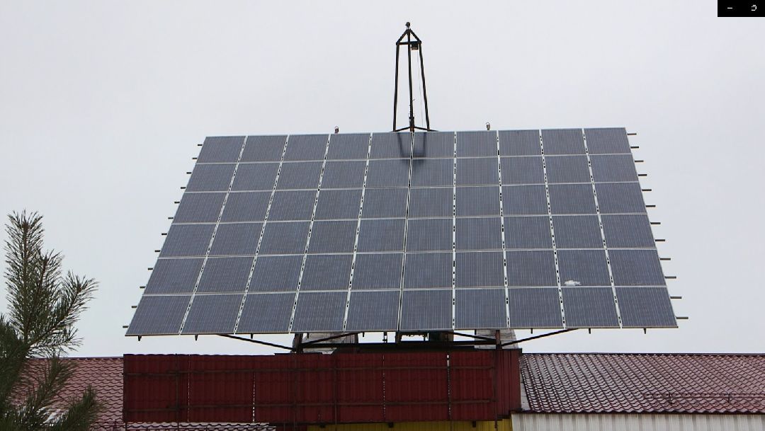 Дмитров, общество