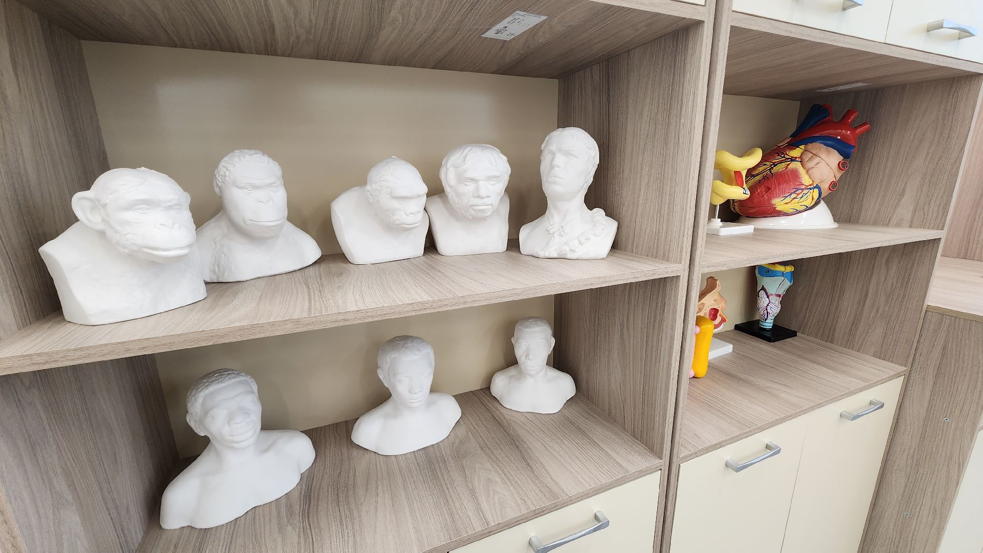 Шатура, образование, строительство, новая школа, шатурский лицей,